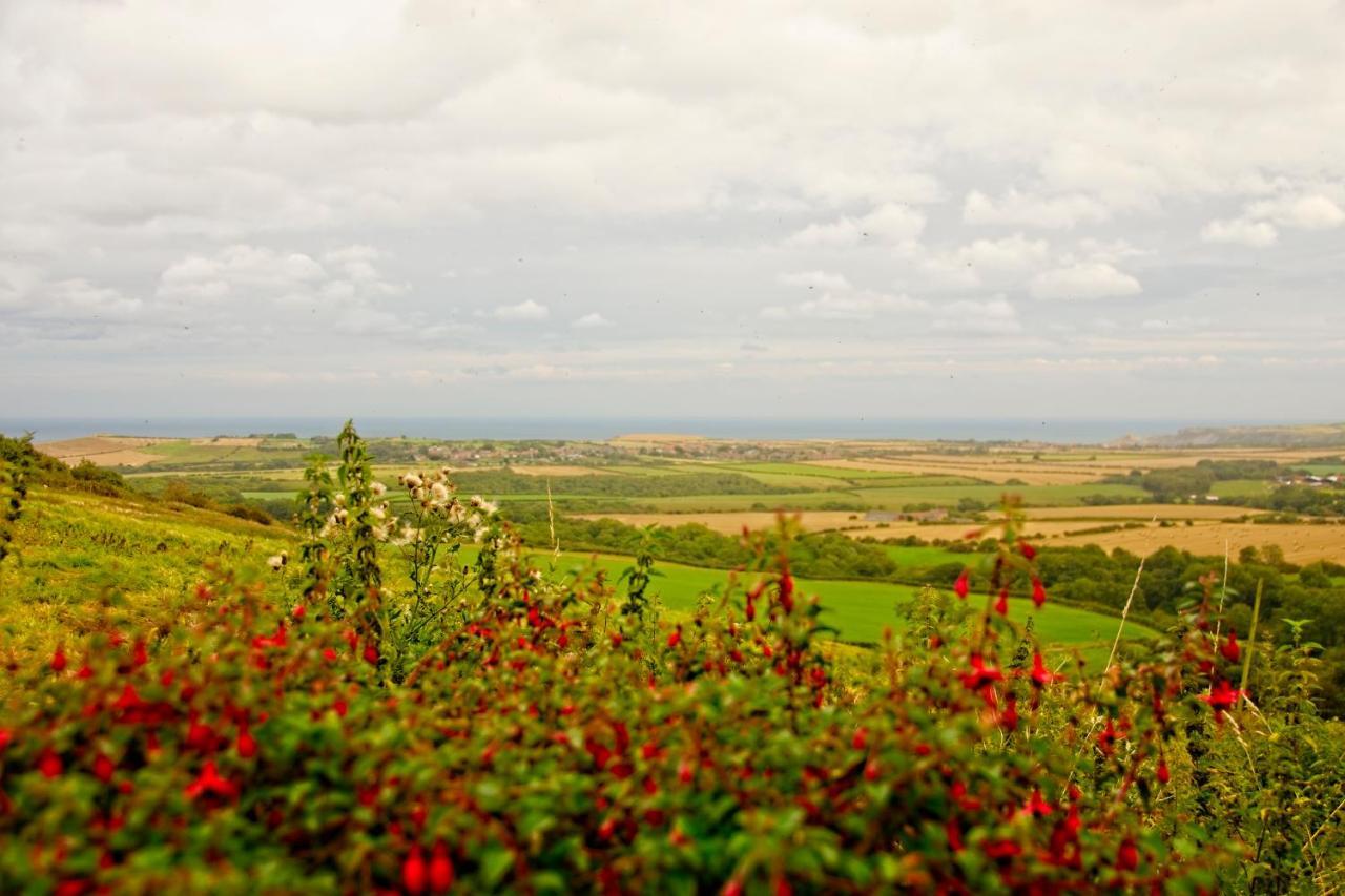 Spangle Cottage, Borrowby Farm Cottages ستيثيس المظهر الخارجي الصورة